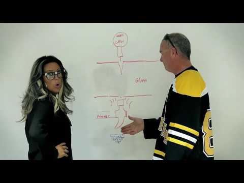 Zapper's Mythbusters