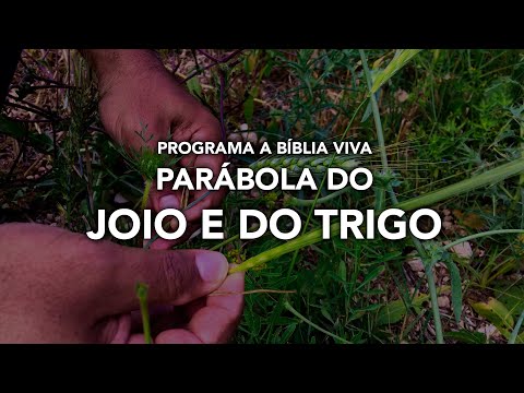 Parábola do Joio e do Trigo, Programa a Bíblia Viva, Rede Israel, Cafetorah.com