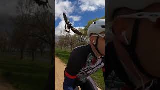 It’s Magpie Season in Australia. 🚲🙄🦅