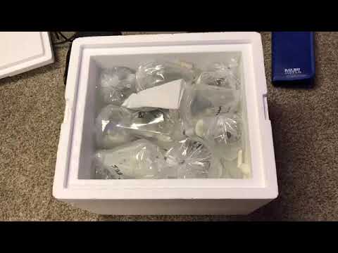 video 7 SBB corals review
