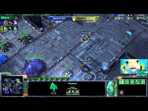 SlayerS Coca v NSH Sage - PvZ Daybreak - TheFish casts SC2