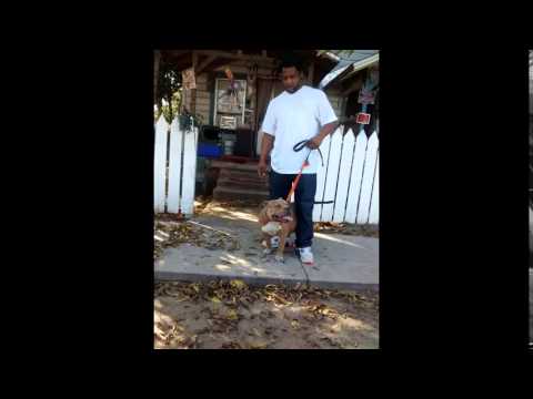 Truck Loads Of Cocaine By Remy Redd