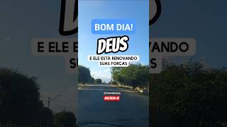 BOM DIA, QUE SEU DIA SEJA DE MUITAS BÊNÇÃOS 🙏🏻❤️🙌 #bomdia