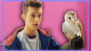 OH MY GOD AN OWL (Behind the Scenes of HLP pt 2)