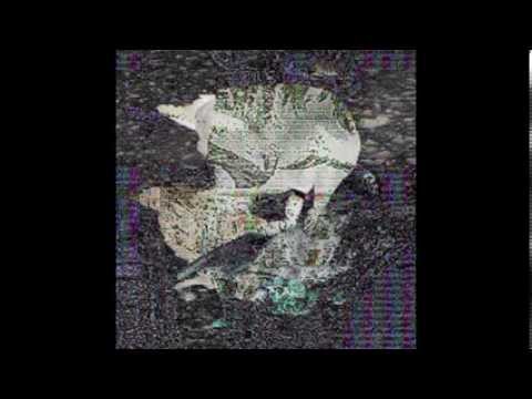 Did Death Grips sample my printer?