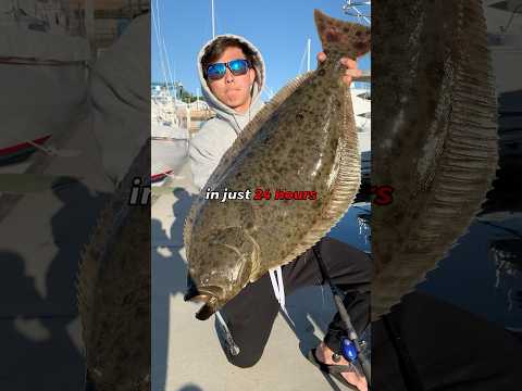 Fishing EVERY Harbor in 24 Hours (California) #fishing #bluefintuna #fish