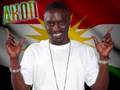 Akon Fallin In Love 