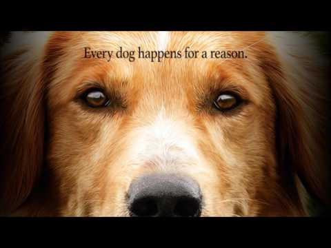 Home Well Go 🌻 / Free Rein {COMPLETED} Chapter 1 Wattpad