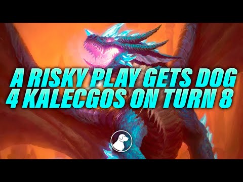 A Risky Play Gets Dog 4 Kalecgos on Turn 8 | Dogdog Hearthstone Battlegrounds