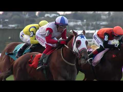 230708 c07 CITY MALDITA