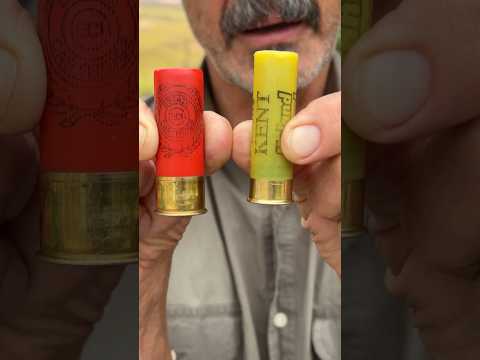 20 Ga. Better Than 12 Ga.