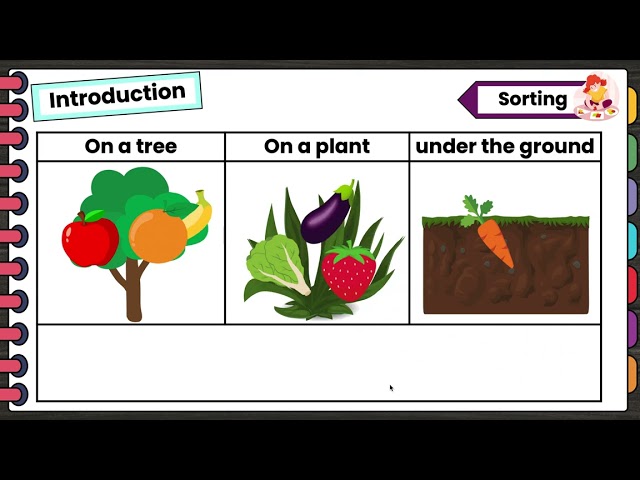 بكج الوحدة الرابعة منهج (Top Goal )