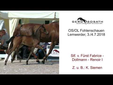 Stf v Fuerst Fabrice x Dollmann x Renoir I 2018
