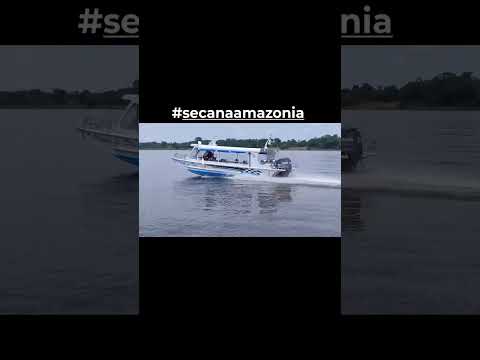 #amazonas #amazonia #beruri #lancha