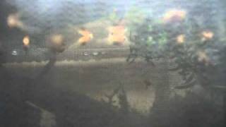 Charango by Morcheeba