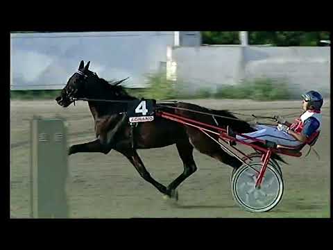 Napoli Trotto 20/09/2022 - 8ª corsa