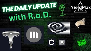 YieldMax ETFs TSLY, NVDY, MSTY, CONY, & AMZY Holdings Review - 10/24/24 (Ex Date) #msty #tsly #amzy