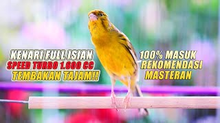 Download lagu Kenari Gacor Full Isian Tajam Ini Bagus Dijadikan Pancingan Kenari Muda Dan Bahan Biar Cepat Gacor mp3 Download lagu Kenari Gacor Full Isian Tajam Ini Bagus Dijadikan Pancingan Kenari Muda Dan Bahan Biar Cepat Gacor mp3