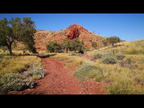 FoxRoo @ Upper Carawine Gorge, Western Australia