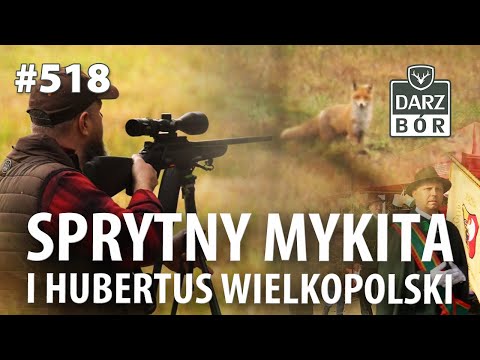 Darz Bór odc 518 „Prawie Normalne Polowanie” i piknik łowiecki podczas Hubertusa Wielkopolskiego