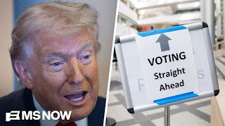 'Fundamentally upside down!': Law Prof. on fed agents confronting poll worker
