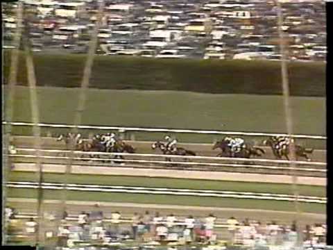 1986 Breeders Cup Sprint (NBC)