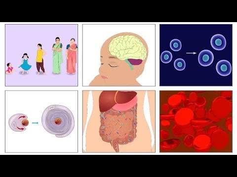 Importance of Iron-Telugu