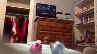 Twilight Sparkle &amp; Friends Episode 8: The Missing Christmas Decorations