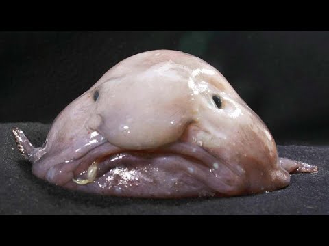 Holy crap that lady is crazy and nakey!!!! Outlast 2  Pt 21