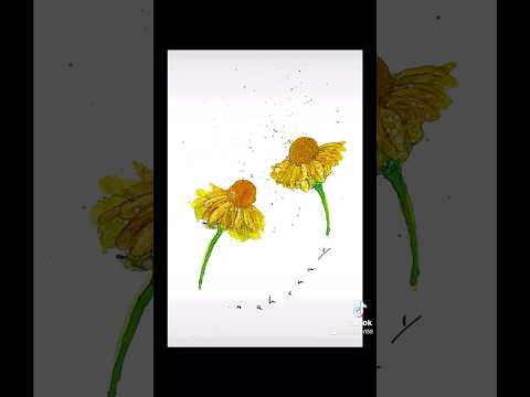 あなたの庭の外観を向上させることができる黄色の花の低木はどれですか? 14の刺激的な提案！  庭園