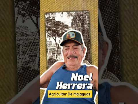 300 Años || Noel Herrera