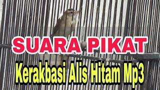Download lagu SUARA PIKAT KERAKBASI ALIS HITAM MP3 mp3