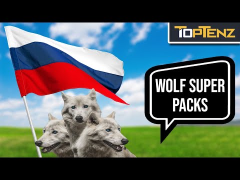 Obscure Facts About Russia You Really Need to Know