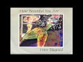 Peter Blegvad - How Beautiful You Are