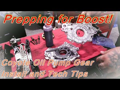 Mustang Coyote Oil Pump Gear Install and Tech Tips