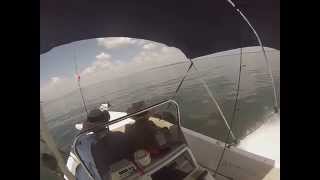 preview picture of video 'Boat Cruising at Alafia River, Gibsonton Florida'