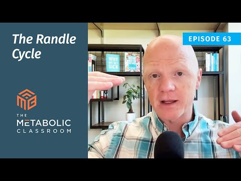 What really is insulin resistance?