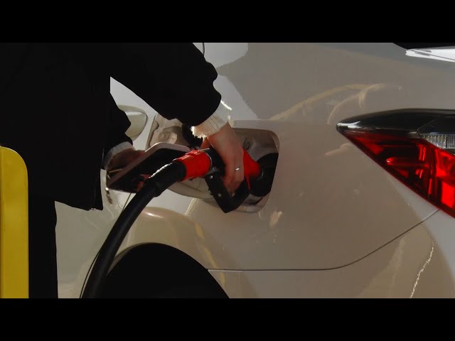 Росстат опубликовал результаты мониторинга стоимости нефтепродуктов за период с 14 по 20 октября