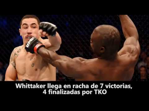 UFC 2013 cara a cara Romero vs Whittaker