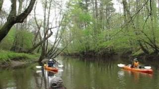 preview picture of video 'Day Paddle on Fishing Creek (04/10/11)'