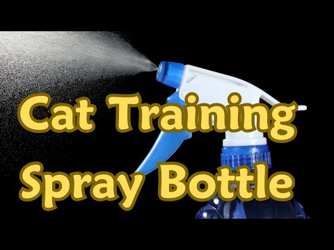 Cat Training Spray Bottle – Can it Get any More Ridiculous?