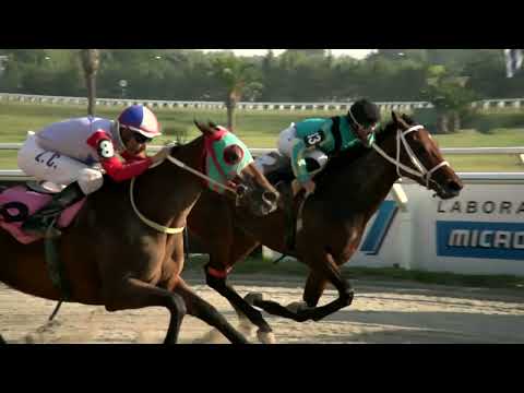 220114 c07 - NOCHE ALEGRE - HIPODROMO LAS PIEDRAS