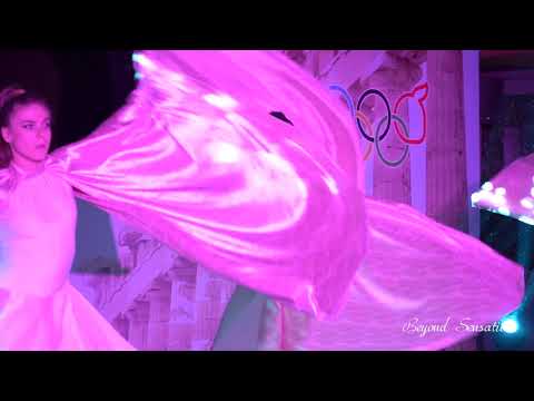 BEYOND SENSATION the show