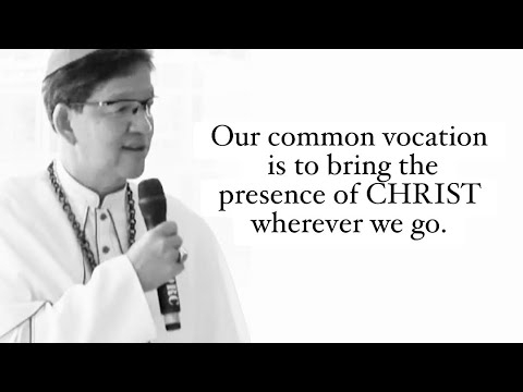 Saturday of the 8th Week in Ordinary Time | Matthew 5:13-19