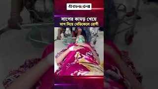 সাপের কামড় খেয়ে, সাপ নিয়ে রাজশাহী মেডিকেলে এলেন রোগী | Daily Sakalbela