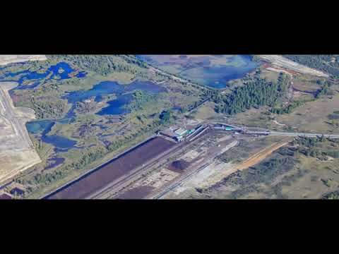 Tagesdosis 14.11.2019 - Die fossile Befreiung (kV)