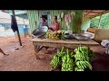 Sítio Do Seu Aparecido E Dona Sônia Em Altamira Do Paraná Um Dia Super Produtivo Na Roça