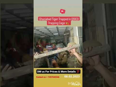 Tiger Cage QSICO