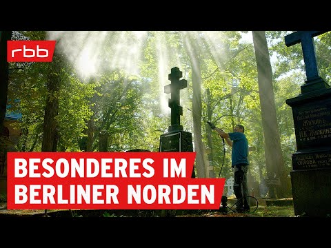 30 Orte, die Berlin-Reinickendorf besonders machen | Berlin erleben | Reportage