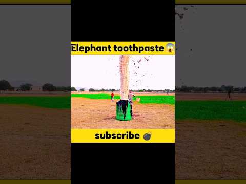 Elephant Toothpaste😱 Experiment-@CrazyXYZ #shortvideo #shorts #viral